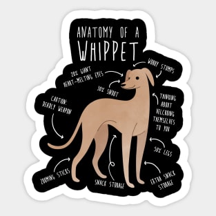 Whippet Dog Anatomy Sticker